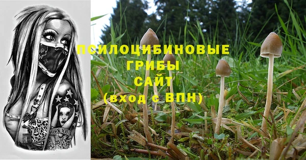 мдпв Михайловск