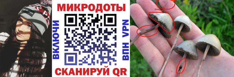 Псилоцибиновые грибы Psilocybe  Купить закладки  Нижняя Салда 